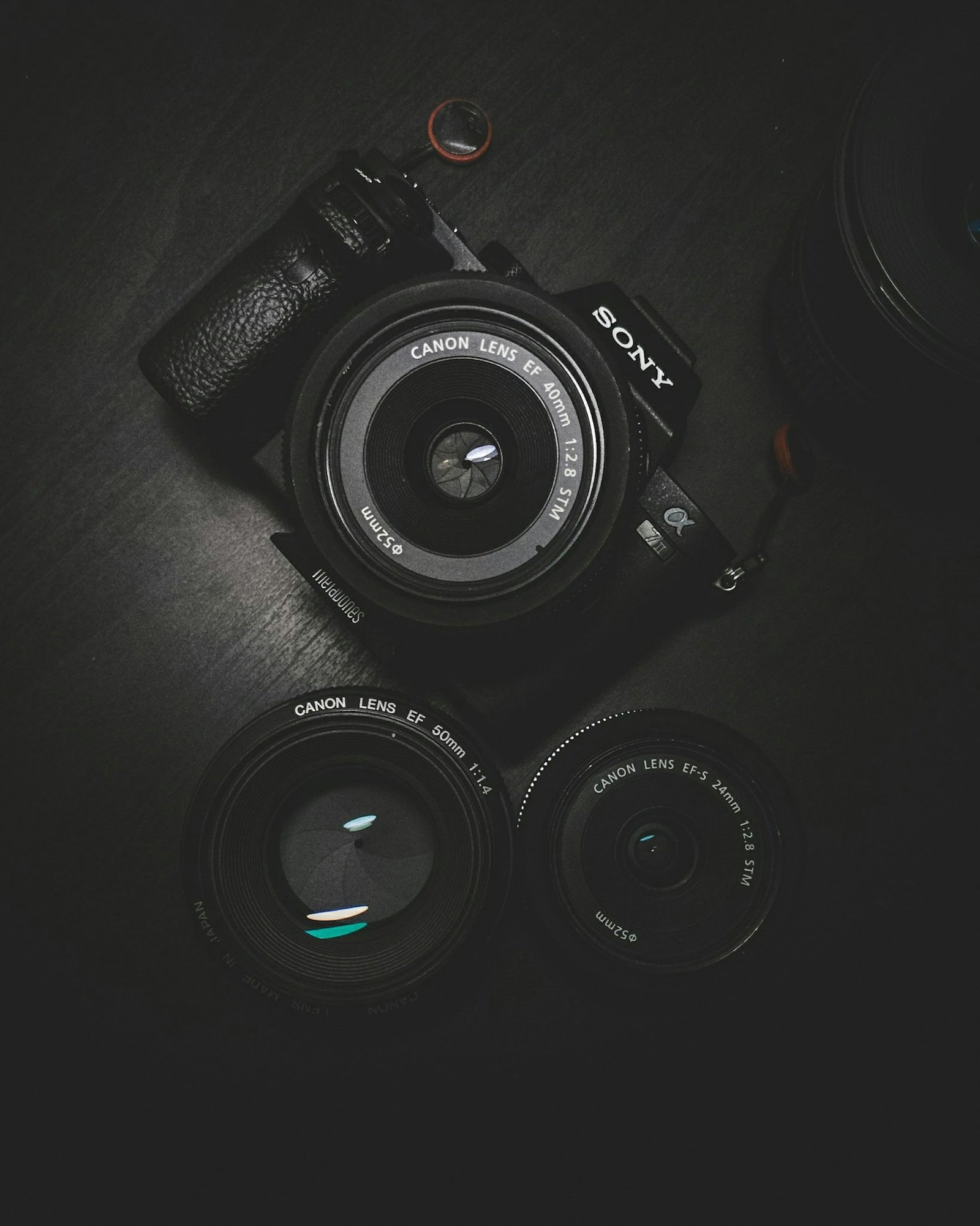 Explore One roll of possibility. Illustrative photography image.