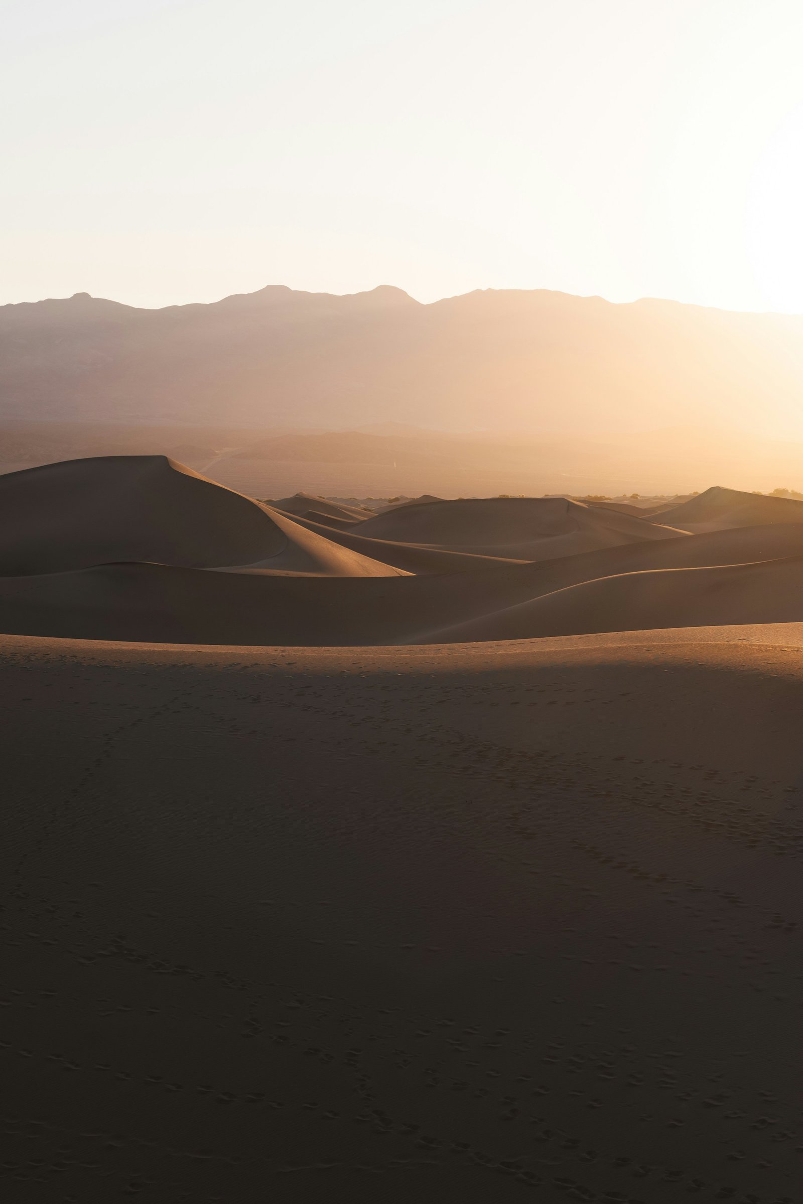 Warm cinematic landscape, illustrative demo artwork